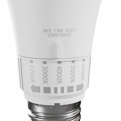 LED Lamp 13W 2700K-6500K 5CCT E27